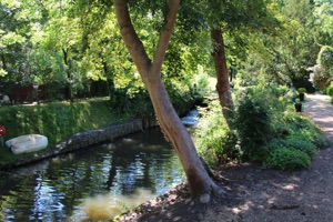 The River 2