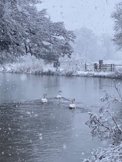 Snow 05